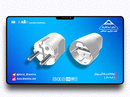 دوشاخه و مادگی رویال ارت دار آسیا